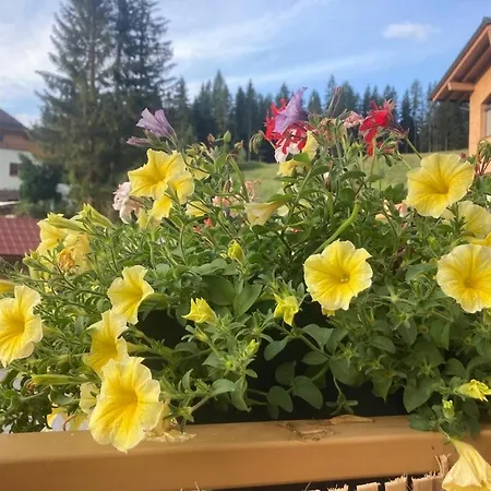 Apartman Jara Apartment-