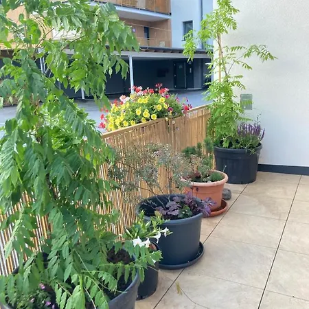 Apartmán Jara Apartment- Ramsau am Dachstein