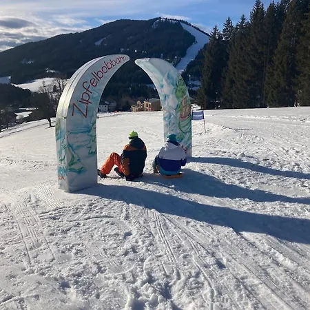 Jara Apartment- * Ramsau am Dachstein