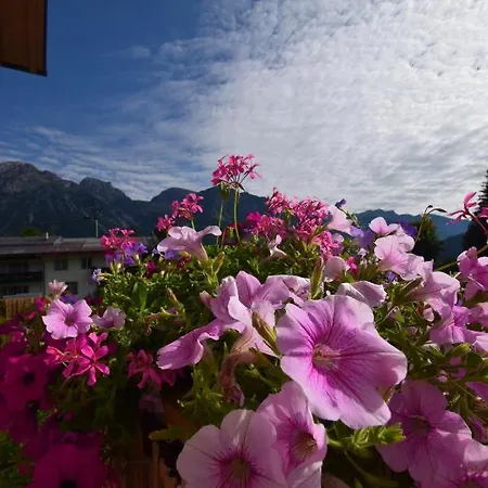 Jara Apartment- 公寓