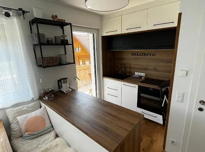 Jara Apartment- Ramsau am Dachstein