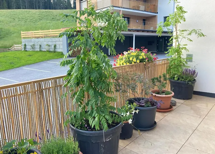 Apartment Jara Apartment- *