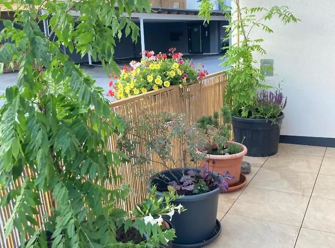 Appartamento Jara Apartment- Ramsau am Dachstein