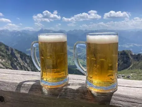 Jara Apartment- Appartement Ramsau am Dachstein