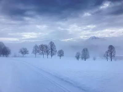 Jara Apartment- Apartment *