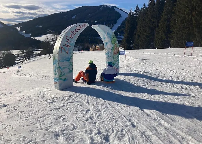 Jara Apartment- * Ramsau am Dachstein