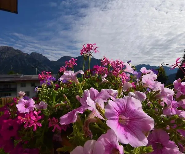 Jara Apartment- Appartamento